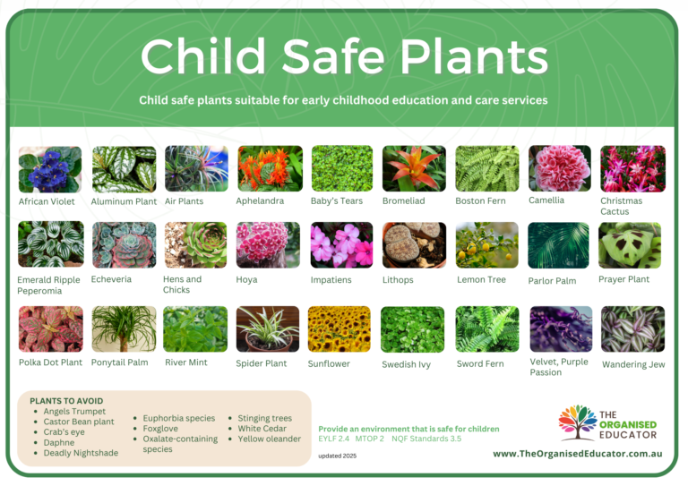 Child Safe Plants