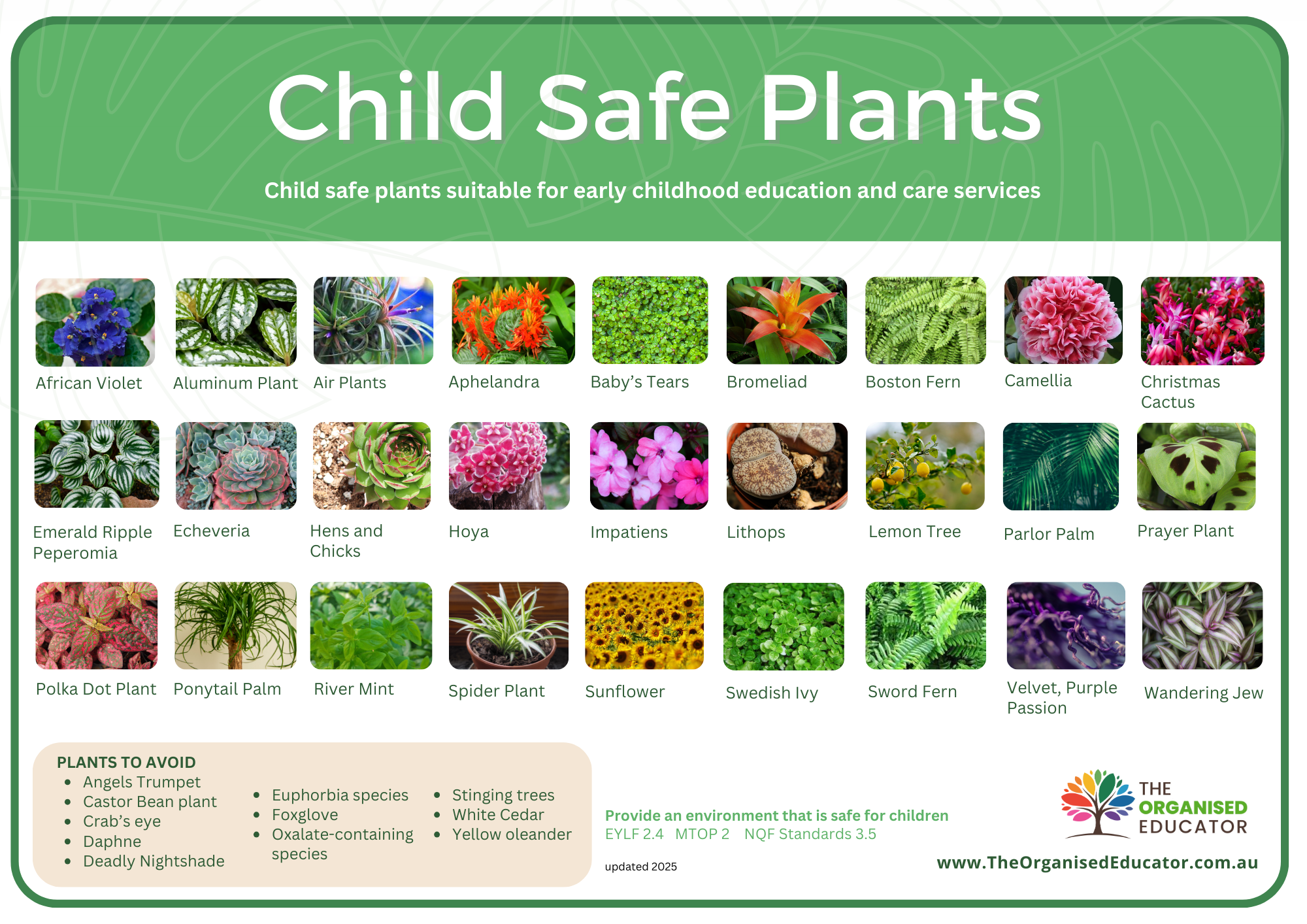 Child Safe Plants